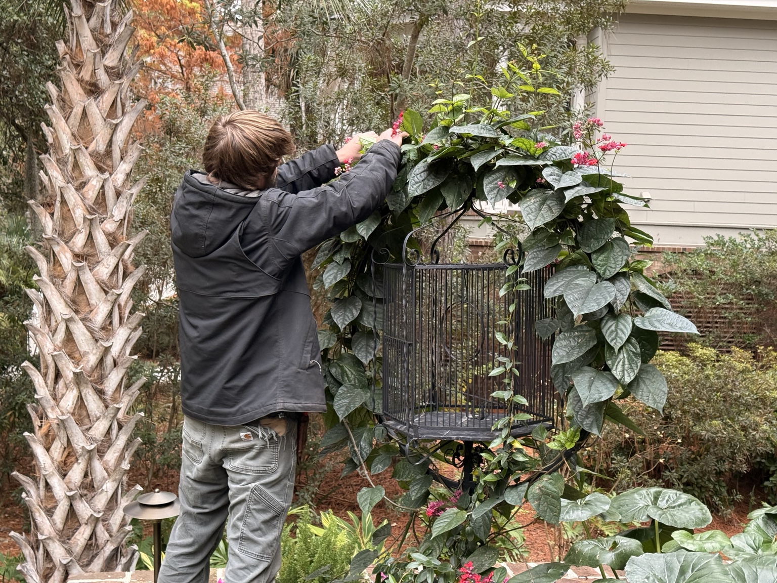 Hands-on horticultural care and considered training