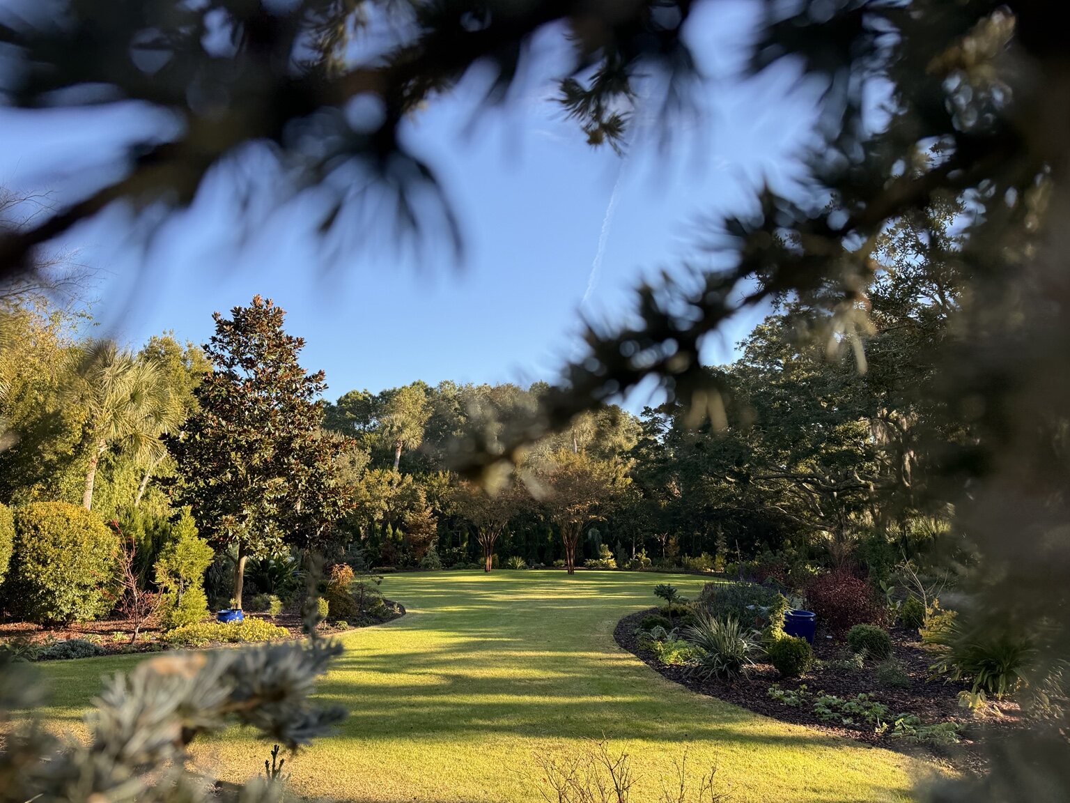 A carefully tended Charleston garden in warm afternoon light