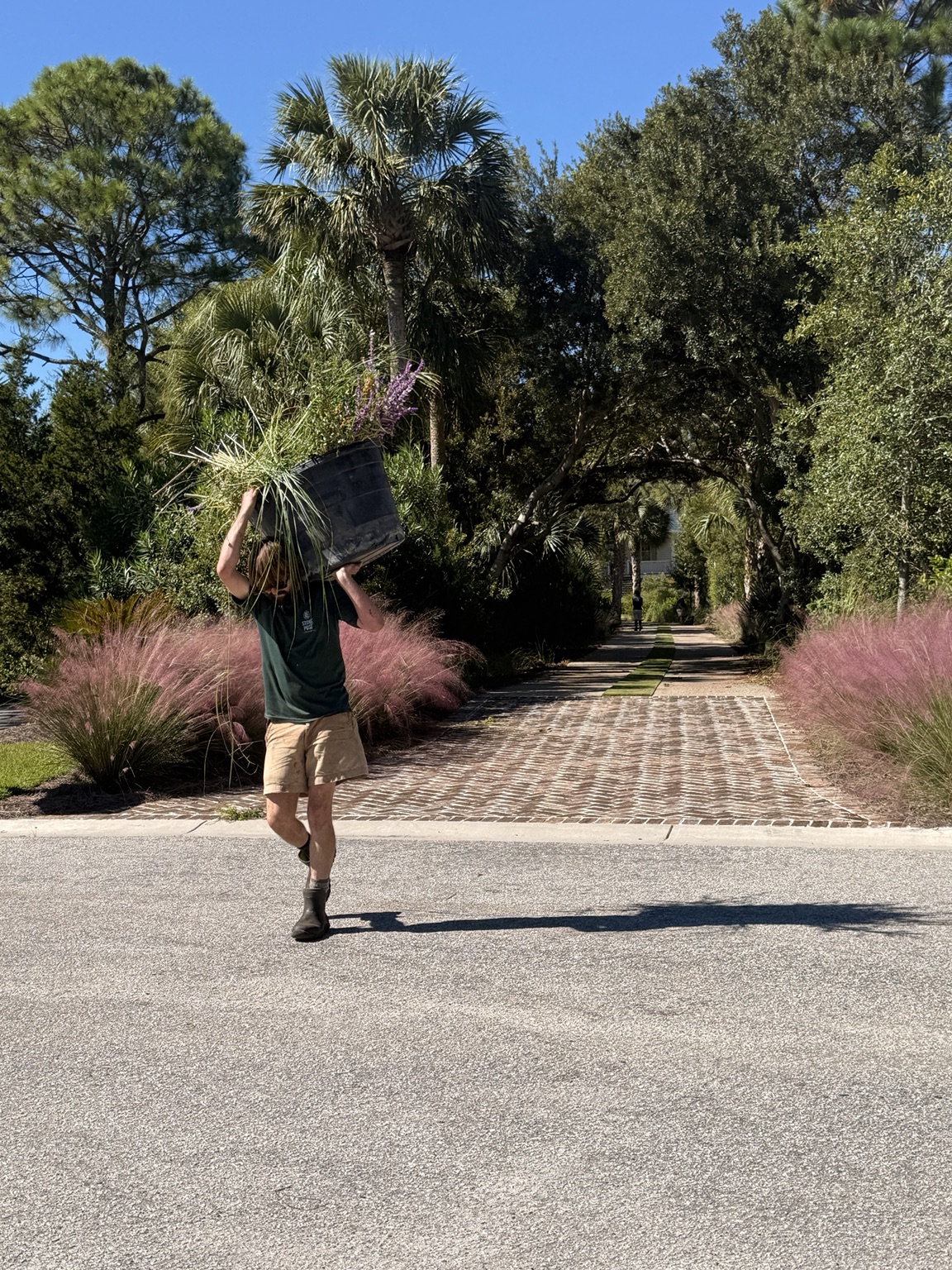 Exceptional gardens are built one decision at a time