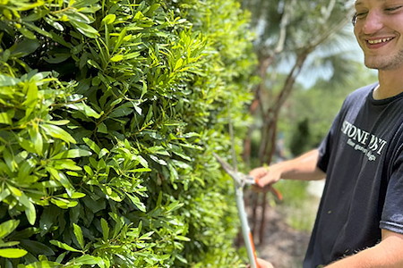 How to Protect Your Landscaping from Coastal Winds and Salt Spray Thumbnail