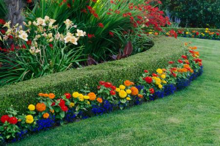 Top 5 Landscape Design Trends for Coastal Homes in Kiawah Island Thumbnail