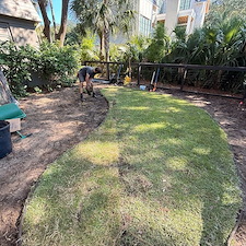 Glossy-Ibis-Back-Garden-Renovation-Phase-1 0