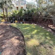 Glossy-Ibis-Back-Garden-Renovation-Phase-1 1