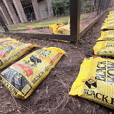 Glossy-Ibis-Back-Garden-Renovation-Phase-1 3