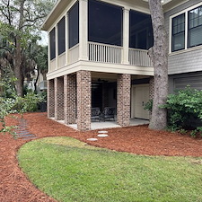 Glossy-Ibis-Back-Garden-Renovation-Phase-1 4