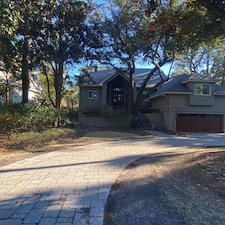 Glossy Ibis Landscape Renovation in Kiawah Island, SC 2
