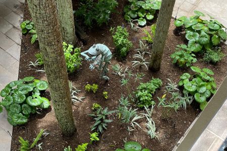 Landscape Design & Build Thumbnail